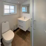 In With Sauna 度假居 布拉万德